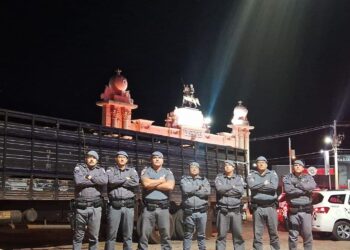 Cabeças de gado furtadas são recuperadas após perseguição policial no interior de SP