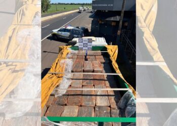 Polícia Rodoviária apreende 1,4 tonelada de maconha escondida em carga agrícola no interior de SP