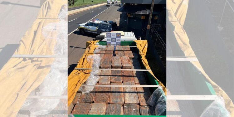 Polícia Rodoviária apreende 1,4 tonelada de maconha escondida em carga agrícola no interior de SP