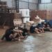 Homem é condenado a pagar R$ 2 milhões por manter paraguaios em trabalho escravo em fábrica de cigarros no interior de SP