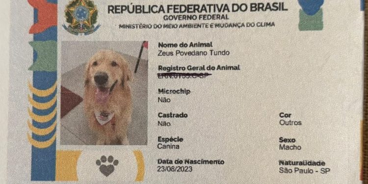 'RG Pet' permite identificação por QR Code e ajuda a localizar animais perdidos; veja os nomes mais registrados e saiba como fazer